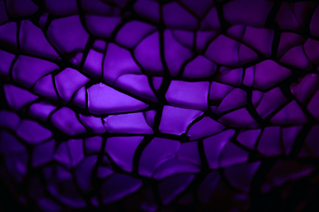 sharon mccutcheon asksz5 i6gg unsplash